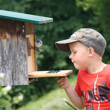 Gasthuis Gastehaus Dobida Unterlamm (Styria)