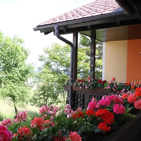 Gastehaus Dobida Gasthuis 3*