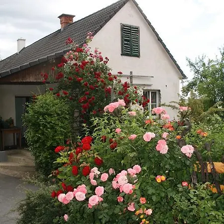 Gasthuis Gastehaus Dobida 3*