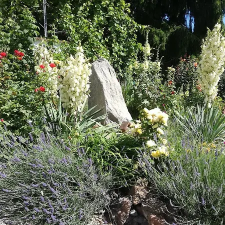 Gasthuis Gastehaus Dobida 3*