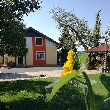 Gasthof Gästehaus Dobida Unterlamm (Styria)