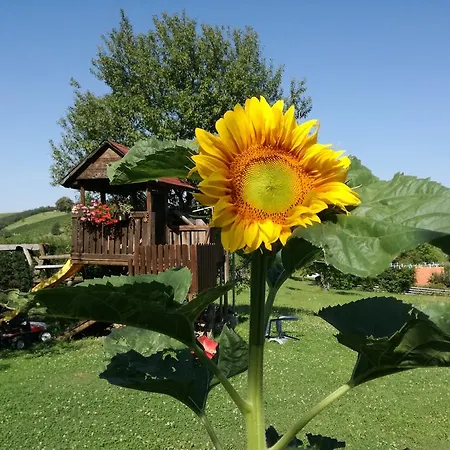 Gästehaus Dobida 3* Unterlamm (Styria)
