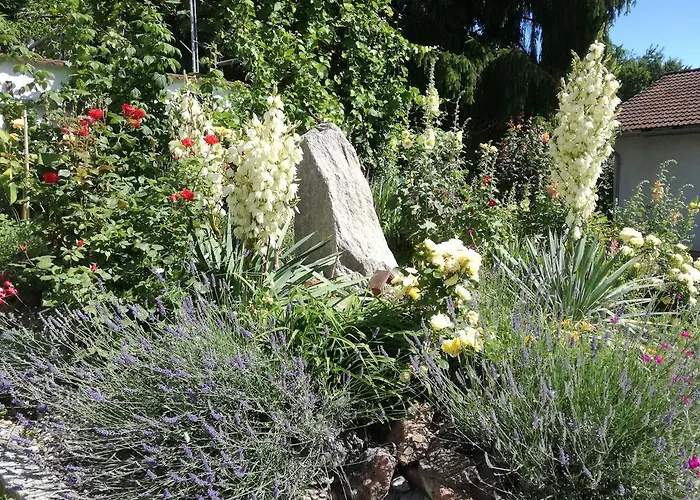 Pensionat Gastehaus Dobida 3*