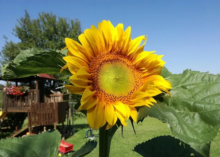 Penzion Gastehaus Dobida