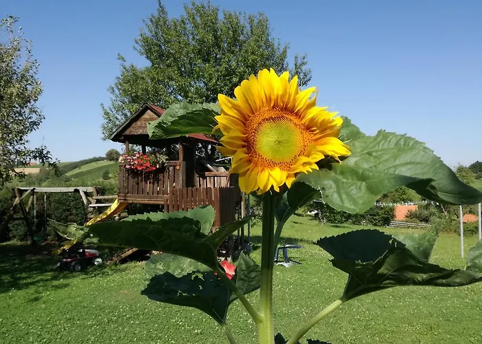 Gastehaus Dobida 3* Unterlamm (Styria)